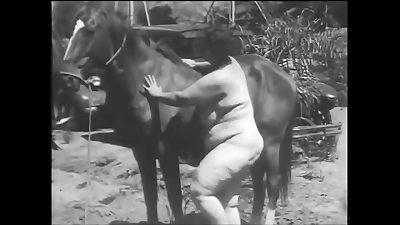 Dark Lantern ç‚¹å¿ƒæŽ¨å‡ºâ€œWomen With Animalsâ€